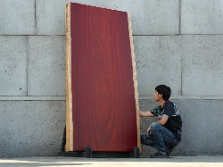 African Padauk (P.05/2)